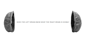 Picture 11 Picture 11